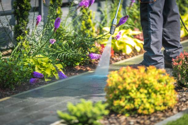 Best Pool Deck Cleaning  in Roscoe, IL