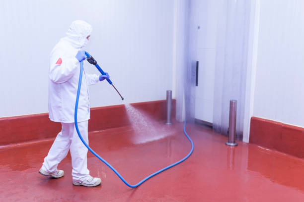 Best Soft Washing  in Roscoe, IL