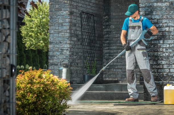 Best Dumpster Area Cleaning  in Roscoe, IL