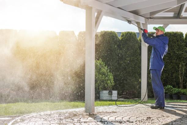 Best Concrete Sealing  in Roscoe, IL